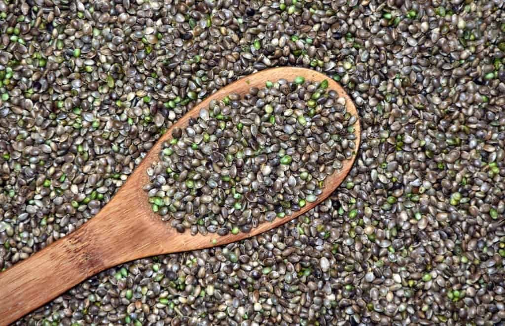 Hemp seeds contain concentrated power - they are now rightly considered a real superfood
